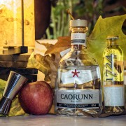Ginebra premium escocesa-Caorunn Gin-Teorema Pub